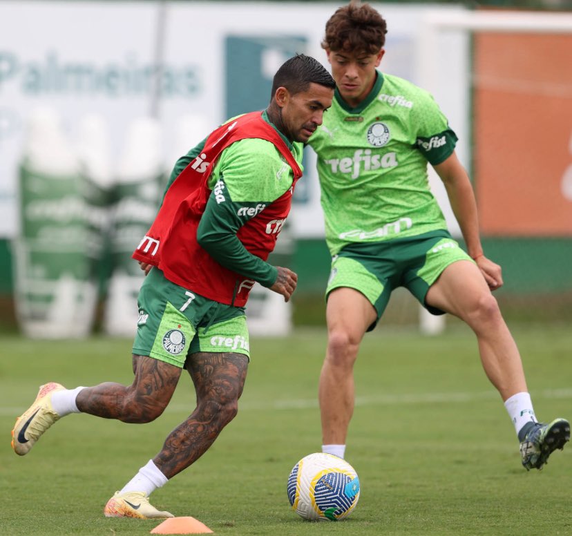 Dudu7Brasil's tweet photo. Dudu no treino de hoje! 7️⃣🐷

📸| Cesar Greco/Palmeiras https://t.co/dO1239Ryto