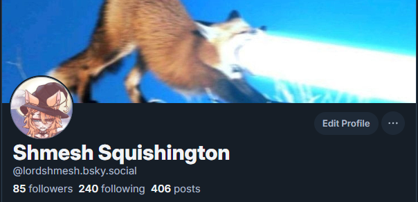 Shmesh Squishington tweet media