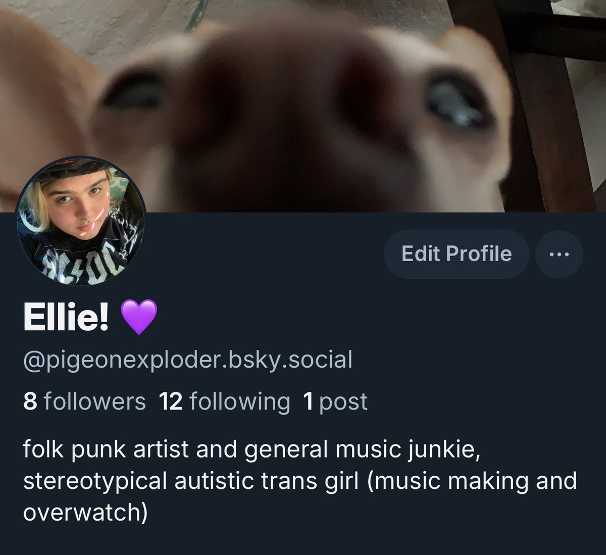 pigeonexploder's tweet image. hii everyone :3 i hate this app so follow me on the other funny app plsss