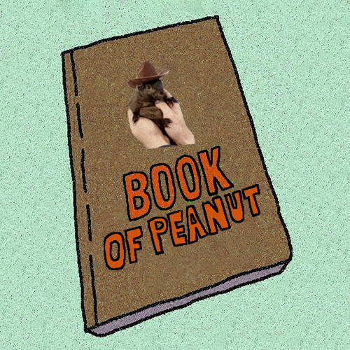 bookofpeanut's tweet photo. @mrpunkdoteth did you start reading my book?
$BOP!! https://t.co/7jU4fXFH1L