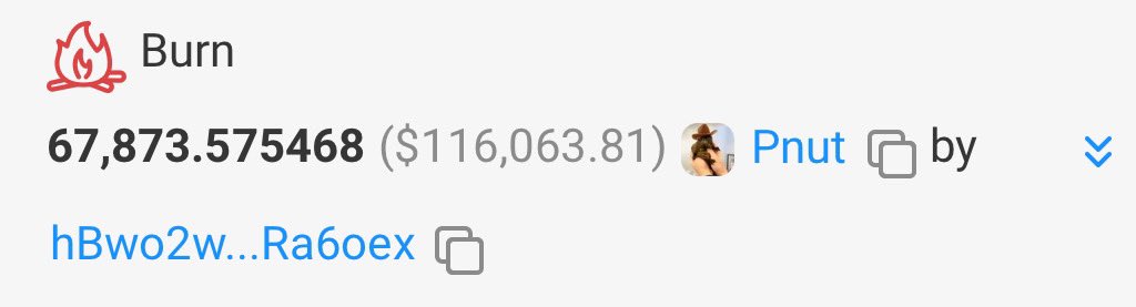 He burnt all of it….

The wallet

hBwo2wmk7sDxEF23Yd7ssKbjoVksZHQoxcfvoRa6oex