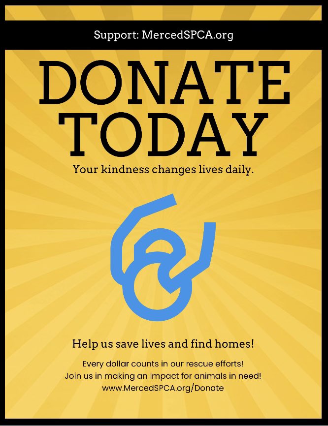 MercedSpca's tweet image. 