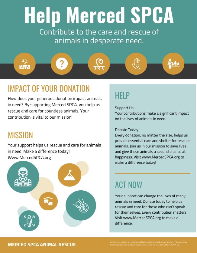 MercedSpca's tweet image. 