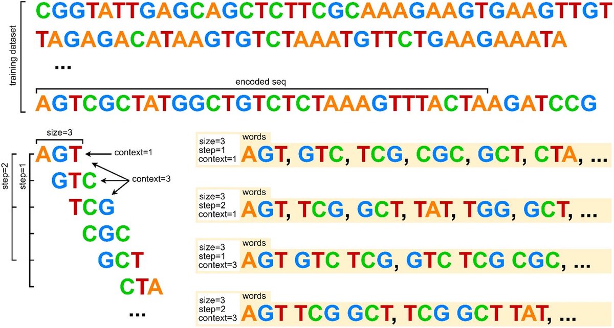 noMapper: A mapping-free natural language processing-based technique for sequence search in nanopore long-reads bmcbioinformatics.biomedcentral.com/articles/10.11…