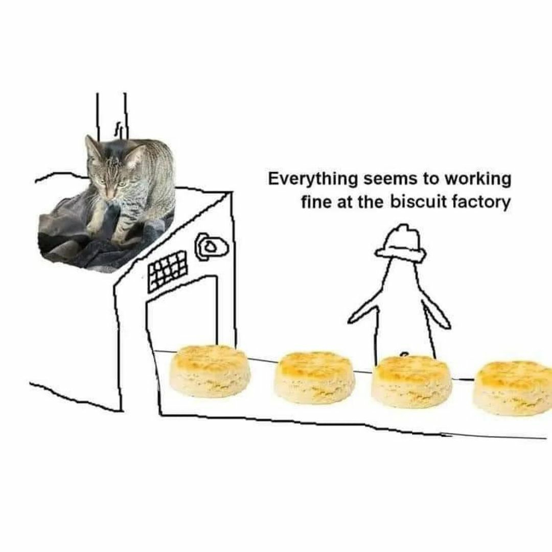 catshealdeprsn's tweet photo. https://t.co/fhAPg53UkR