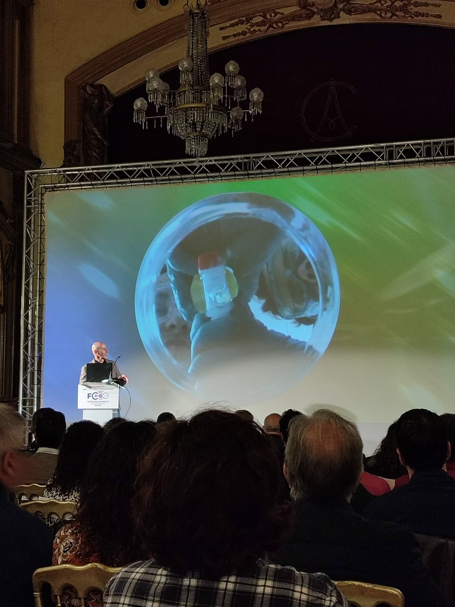 Catalina Guzmán tweet media