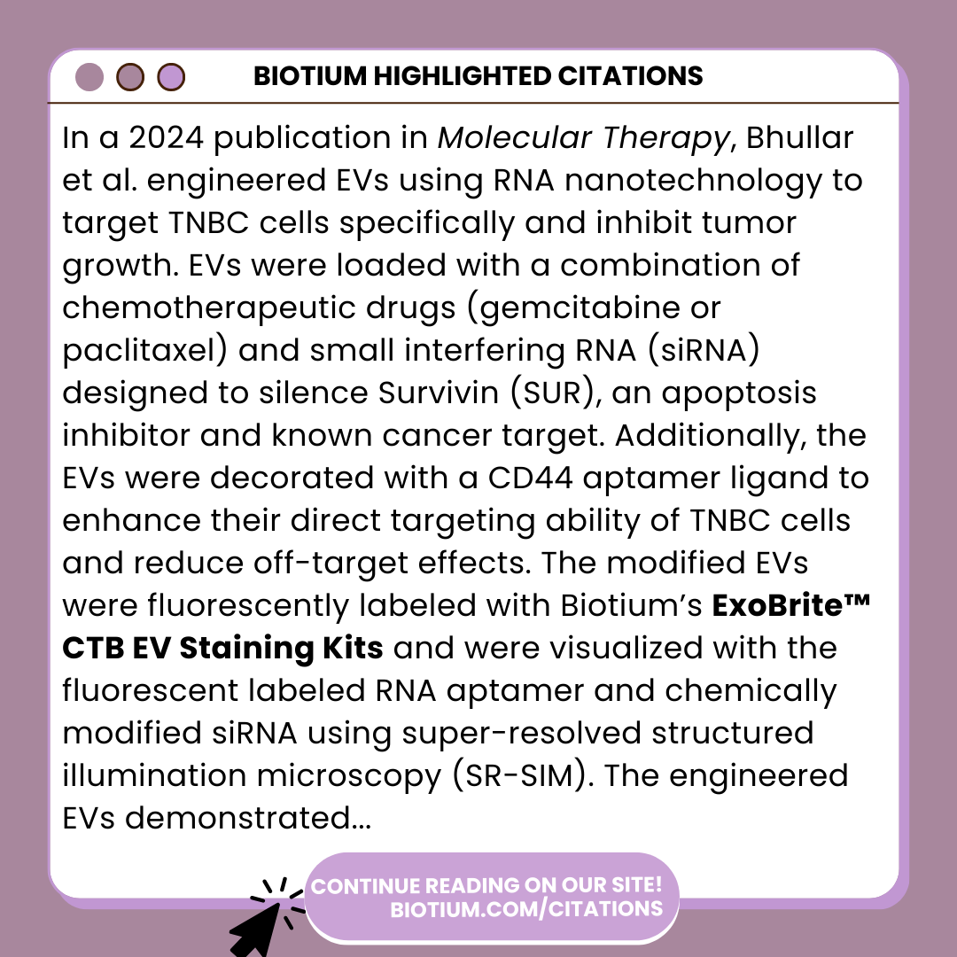 biotium's tweet photo. 📚✨ Check out our new Highlighted Citation featuring our ExoBrite™ CTB EV Stains! https://t.co/oNaibku8ta

#breastcancer #sciencearticle #scienceread #sciencepublication #sciencecompany #moleculartherapy #chemotherapy #rna #sciencefeature #extracellularvesicle #evstains https://t.co/lYKRpwWiyr