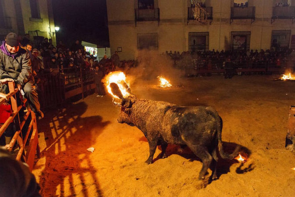 diariodesoria's tweet photo. Tribuna de opinión del abogado Mario González Casado tras la decisión judicial de suspender la celebración del Toro Jubilo en Medinaceli (Soria) al atender la petición del PACMA de medidas cautelares. 
https://t.co/mj0YVWMCu7 https://t.co/DNOW9XEaaE