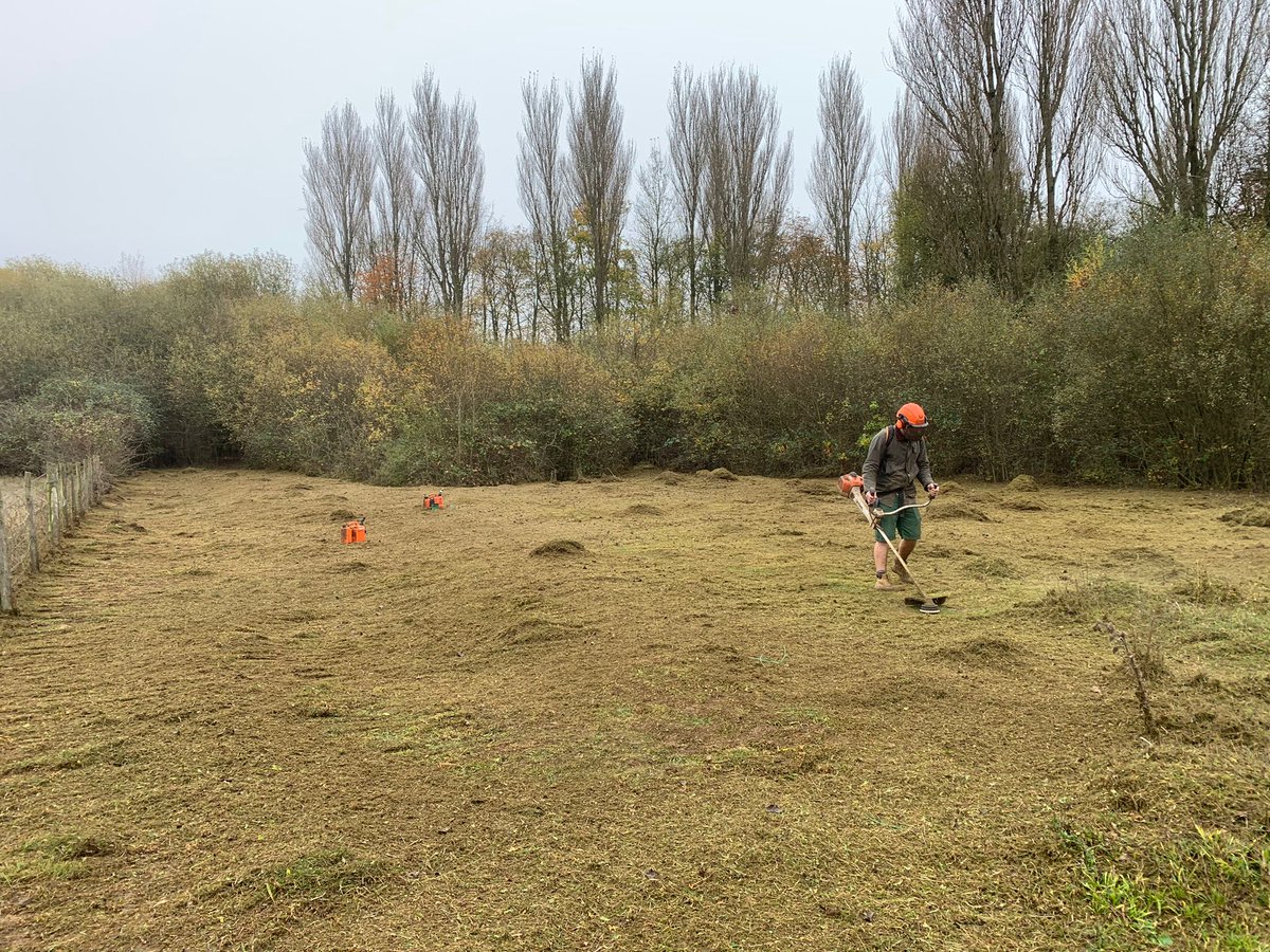 Ben Coleman (@bencoleman_28) on Twitter photo A lot of work left to do to preserve and enhance the vital limestone grassland habitat at Ufton Fields for Warwickshire's only colony of Man Orchids. Will be there again next Tuesday 19th with <a href="/courtenaybeth95/">Courtenay Dubock</a> and <a href="/BrianLaney2/">Brian Laney</a> help with raking appreciated! A lot of work left to do to preserve and enhance the vital limestone grassland habitat at Ufton Fields for Warwickshire's only colony of Man Orchids. Will be there again next Tuesday 19th with <a href="/courtenaybeth95/">Courtenay Dubock</a> and <a href="/BrianLaney2/">Brian Laney</a> help with raking appreciated!