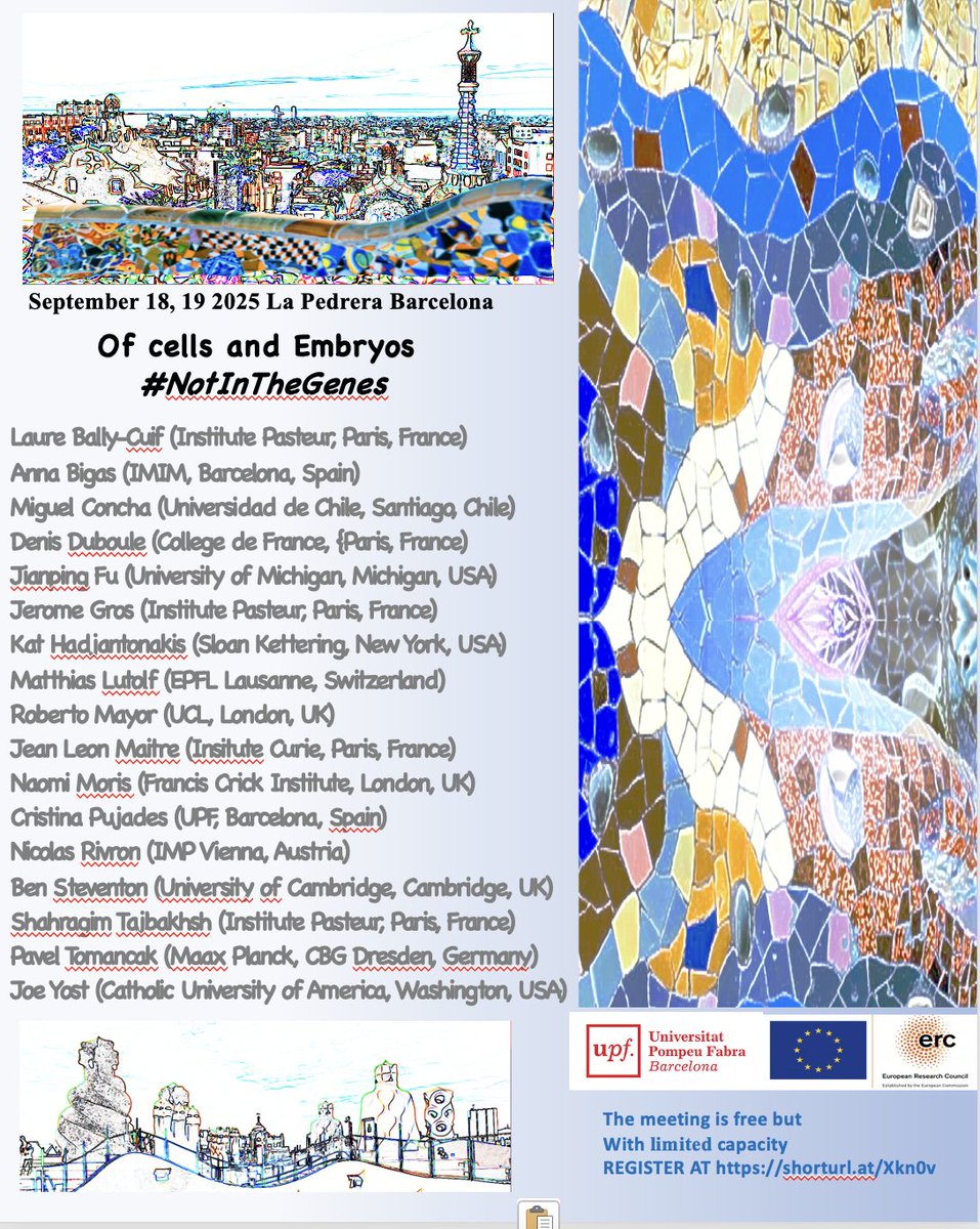 Alfonso Martinez Arias (@amartinezarias) on Twitter photo Registration is open for a Symposium on “Cells and Embryos: #NotInTheGenes” in La Pedrera, Barcelona. 18/19 of September 2025.
Attendance is free but you need to register shorturl.at/77Wqn
Stembryo lab <a href="/UPFbiomed/">UPF Medicine and Life Sciences</a> <a href="/ERC_Research/">European Research Council (ERC)</a> Registration is open for a Symposium on “Cells and Embryos: #NotInTheGenes” in La Pedrera, Barcelona. 18/19 of September 2025.
Attendance is free but you need to register shorturl.at/77Wqn
Stembryo lab <a href="/UPFbiomed/">UPF Medicine and Life Sciences</a> <a href="/ERC_Research/">European Research Council (ERC)</a>