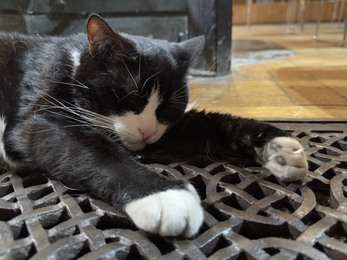 Helen Hooker tweet media