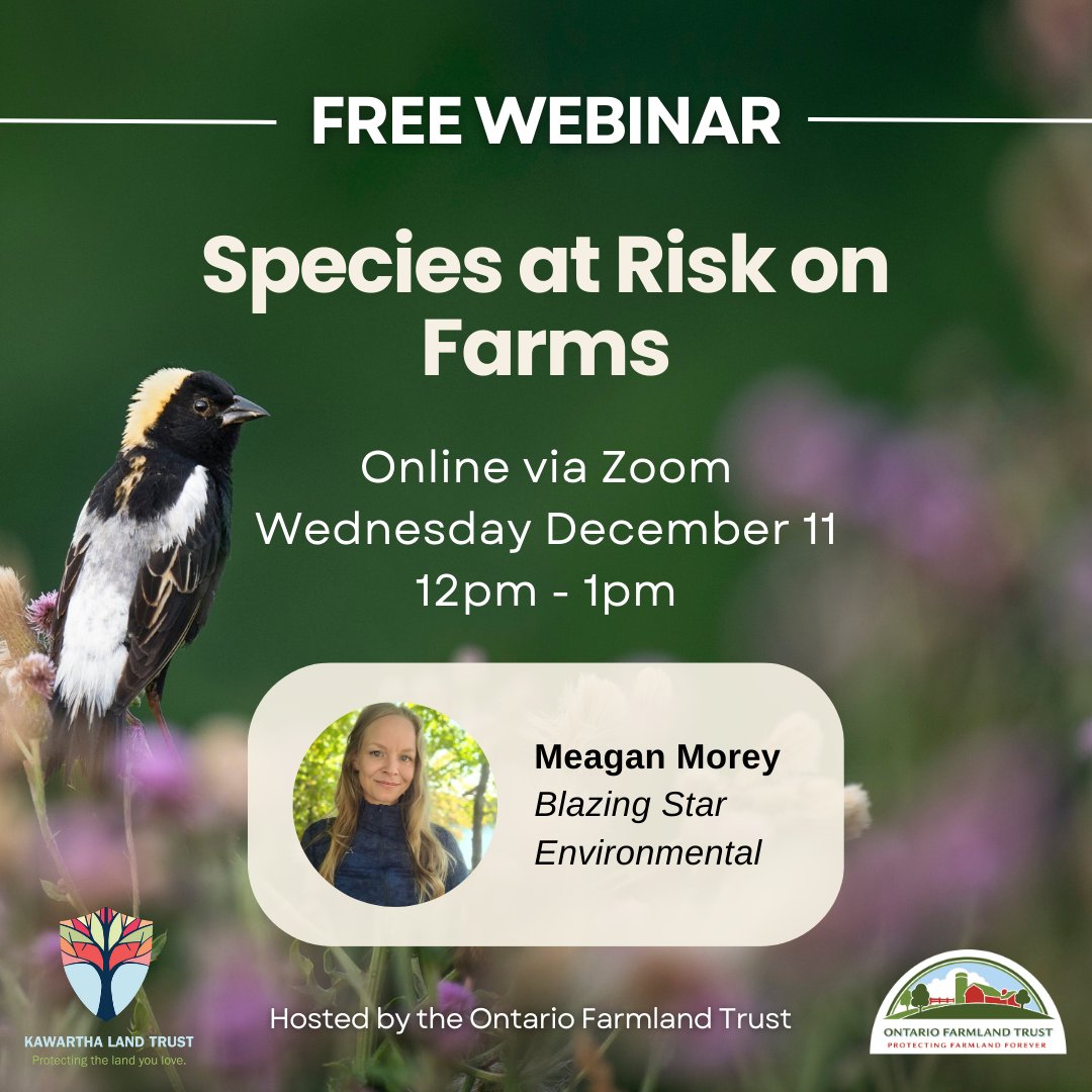 Farms can be incredible habitats for many species, including those at risk. Join us for an in-depth exploration of some of the key species at risk you might encounter on Ontario farms.

Wed, Dec 11, 12-1pm

bit.ly/4eXCbTQ