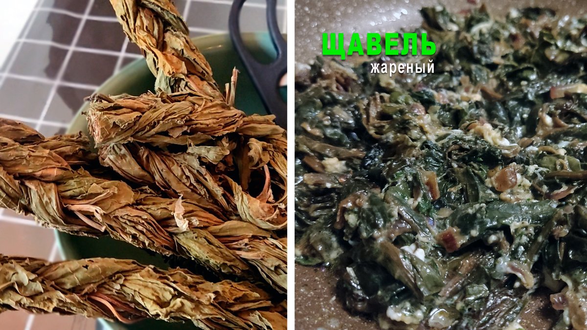 Обжаренный конский щавель с неповторимым вкусом youtu.be/qDp1hFm79hU?si… через <a href="/YouTube/">YouTube</a>