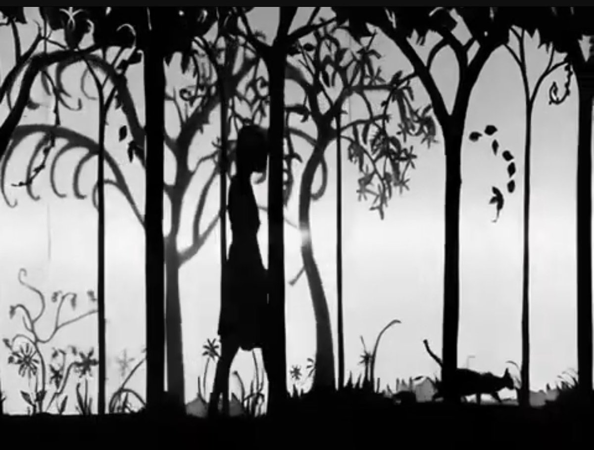 Rachel Colley tweet media