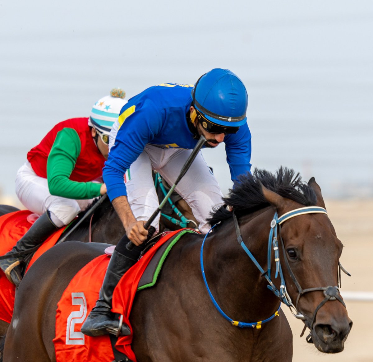 نادي الصيد و الفروسية 
مضمار المغفور له باذن الله تعالى 
الشيخ صباح الناصر الصباح
نتيجة الشوط الـ2 الحفل ( 2 ) 

◻️الفائز : المعتصم
◻️المالك : الزامل و ابو جحوم
◻️المدرب : مبارك ابو جحوم
◻️الخيال : سالم العجمي
◻️المسافة : 1400 م
◻️الزمن : 1:31:90