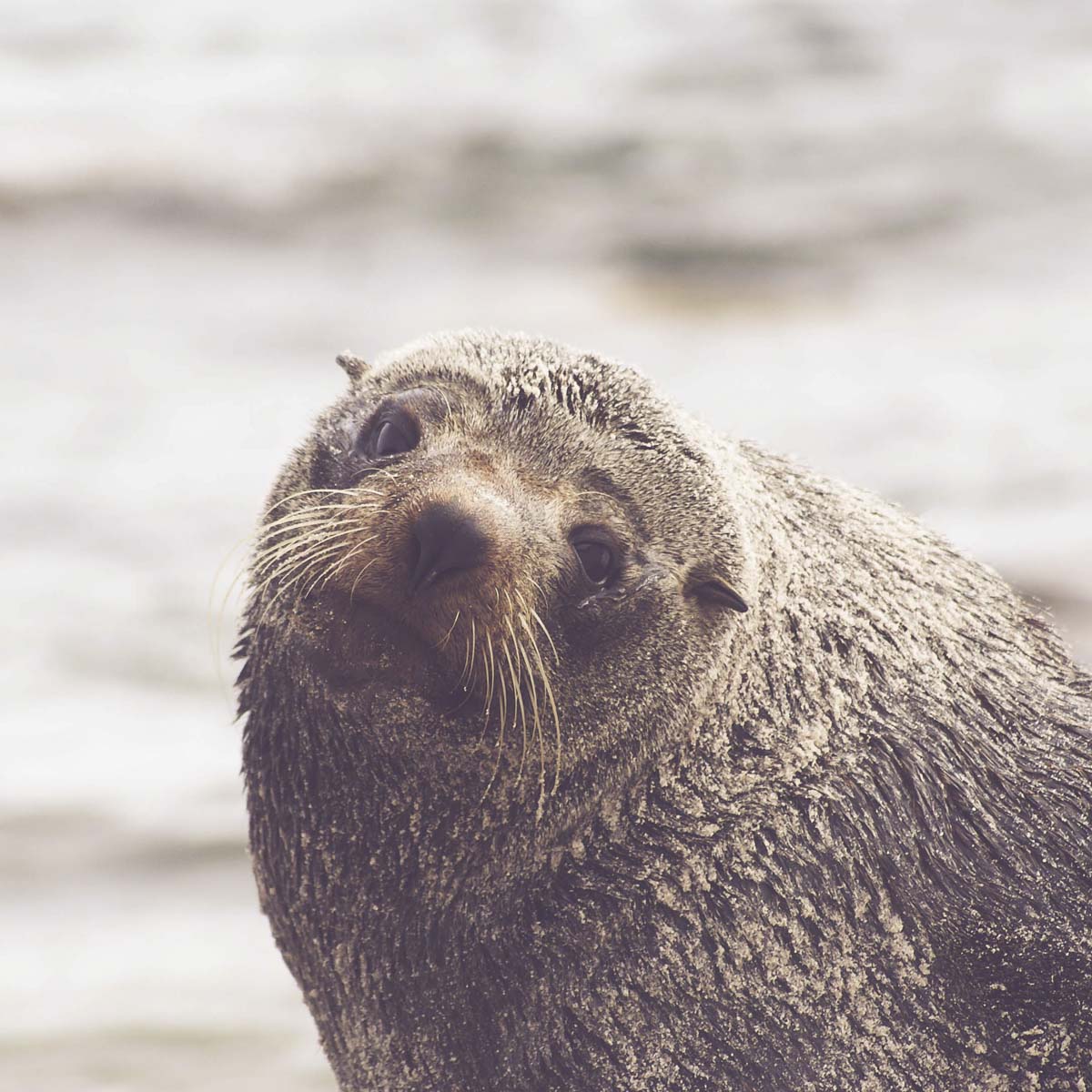 karenweikert's tweet image. #spiritsays: Sensitive spirits long for a world without storms, where waves are gentle and energies are calm. Be the calm. 
🌊
karenweikert.com/2024/11/spirit…
#balm #peacefulsoul #worldkindnessday