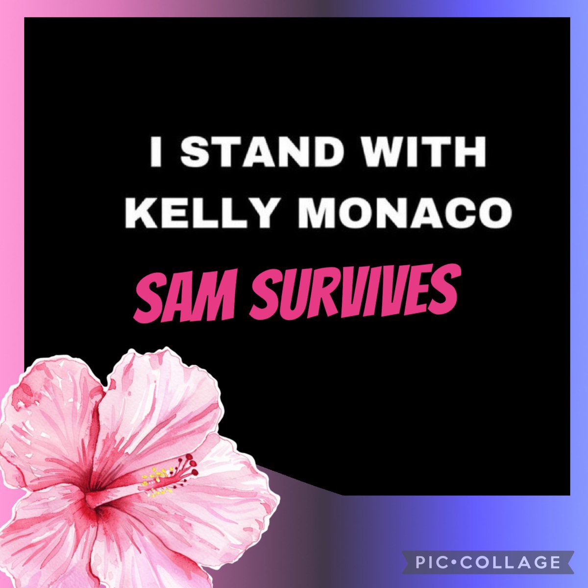 ShirlGCadotte55's tweet image. #IStandWithKelly 🐦‍🔥 #SamSurvives 🤟💜