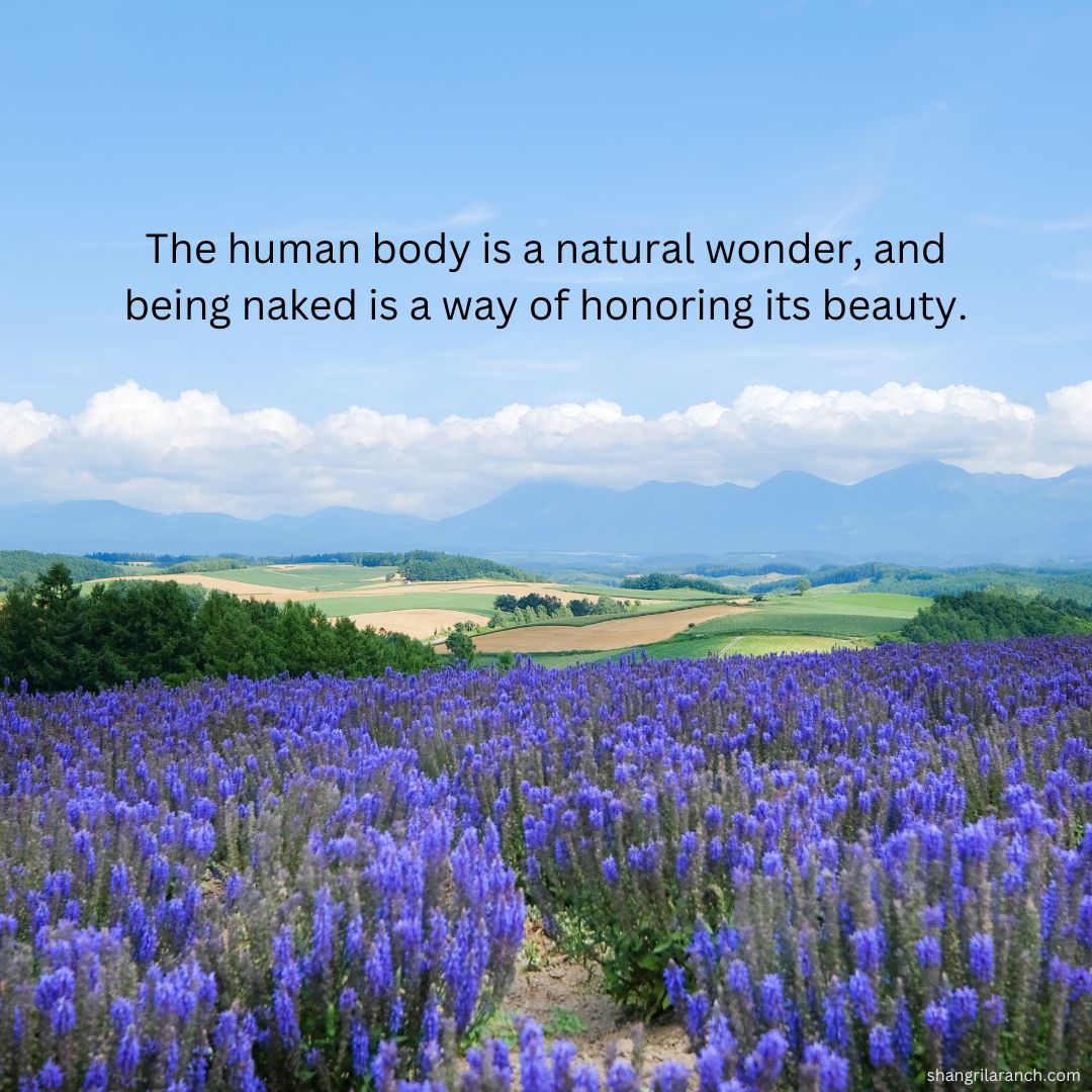 SLRNude's tweet photo. Our bodies are works of art, masterpieces sculpted by life. 🖼️ Celebrate the beauty and embrace your nakedness! https://t.co/HGg4pe4Sxi