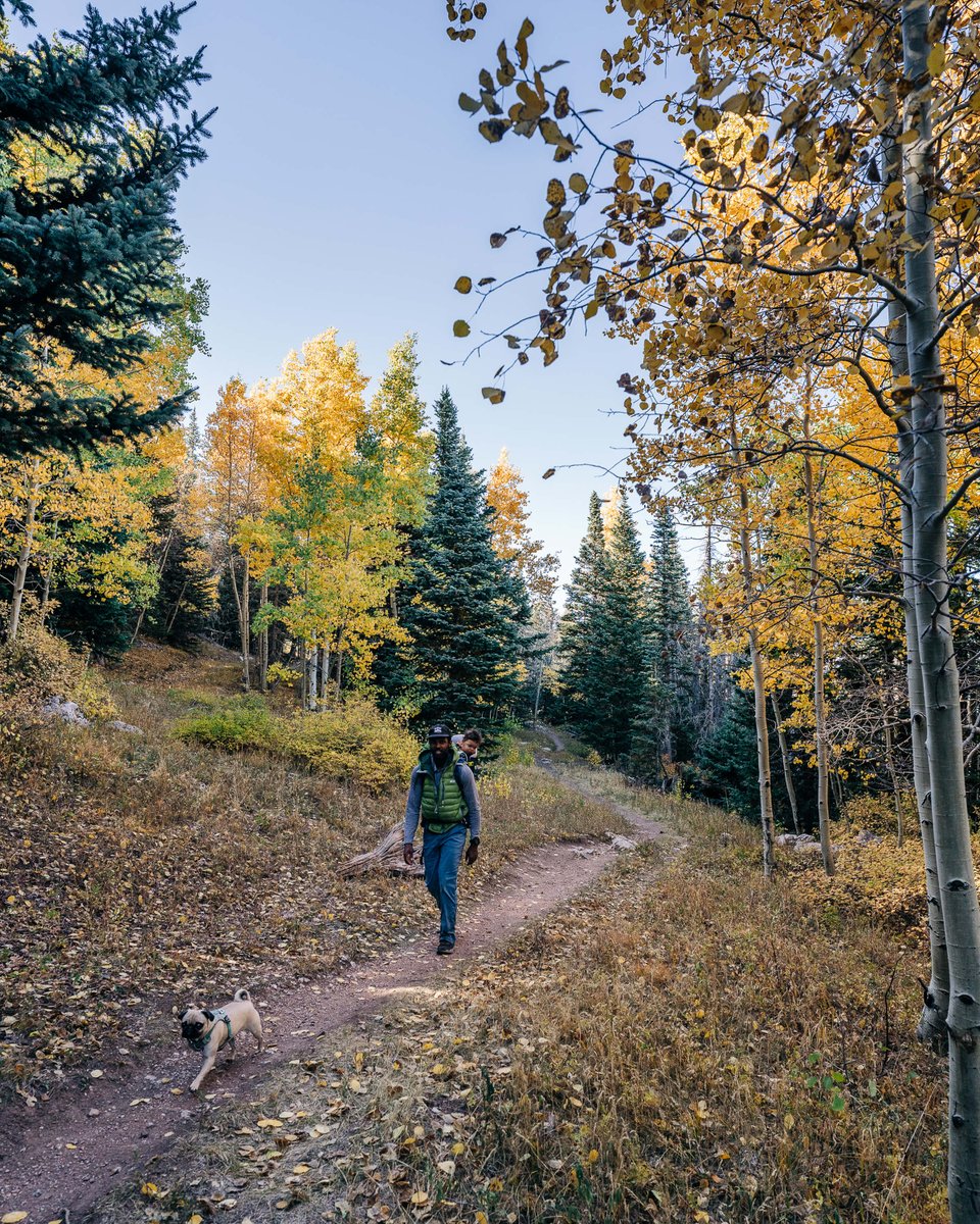 NMoutdoorrec's tweet photo. Just a friendly reminder to #GetOutside whenever and however you can!

#NMORD #WellnessWednesday #NMOutside
📸Evan Green Photography https://t.co/ZaUxPFV5Wi