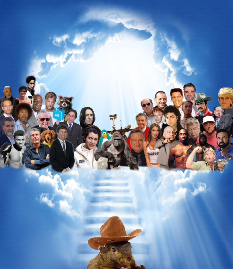 Peanut walked, so $BTC could run

We owe it all to you my friend, RIP #Peanut!