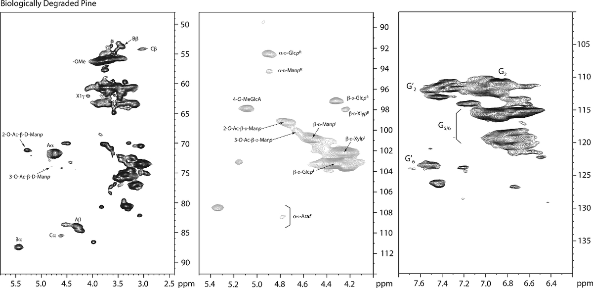 Magdalena_Broda's tweet photo. Together with Dan Yelle, we have a new paper "Characterizing the chemistry of artificially degraded Scots pine wood  serving as a model of naturally degraded waterlogged wood using1H–13C HSQC #NMR" published: https://t.co/Hf263ITZAp

@up_poznan @forestservice #jestemfulbrighterem https://t.co/04JW1FVe4K
