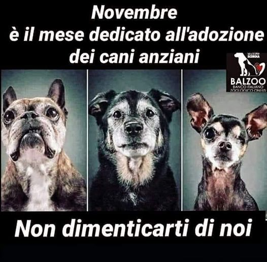 annamariamoscar's tweet photo. https://t.co/gJnmolORmT