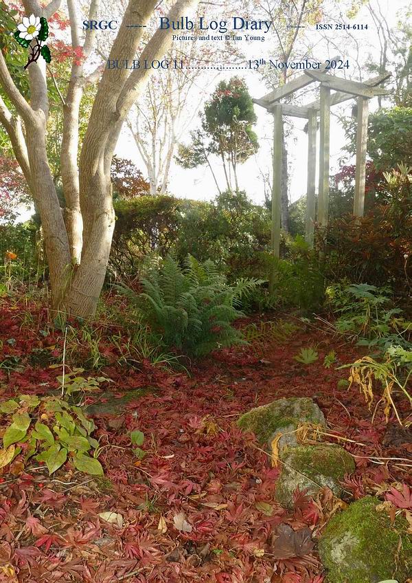 ScottishRockGC's tweet image. Autumn continues in the #BulbLog, the days are shortening as we head  into winter but there is still plenty to see &amp;amp; do in the many garden  habitats.
Please click the link to see and read all  srgc.net/documents/bulb…