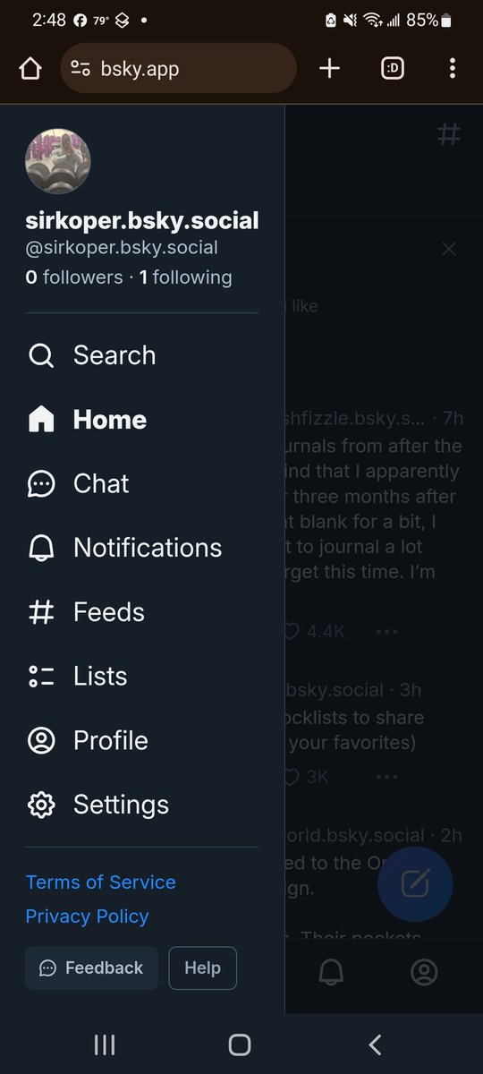 @sirkoper.bsky.social tweet media