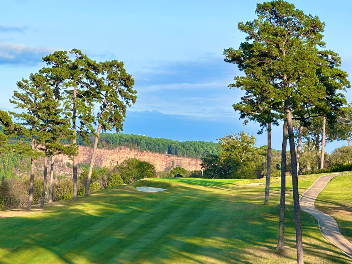 Rick Golfs tweet media