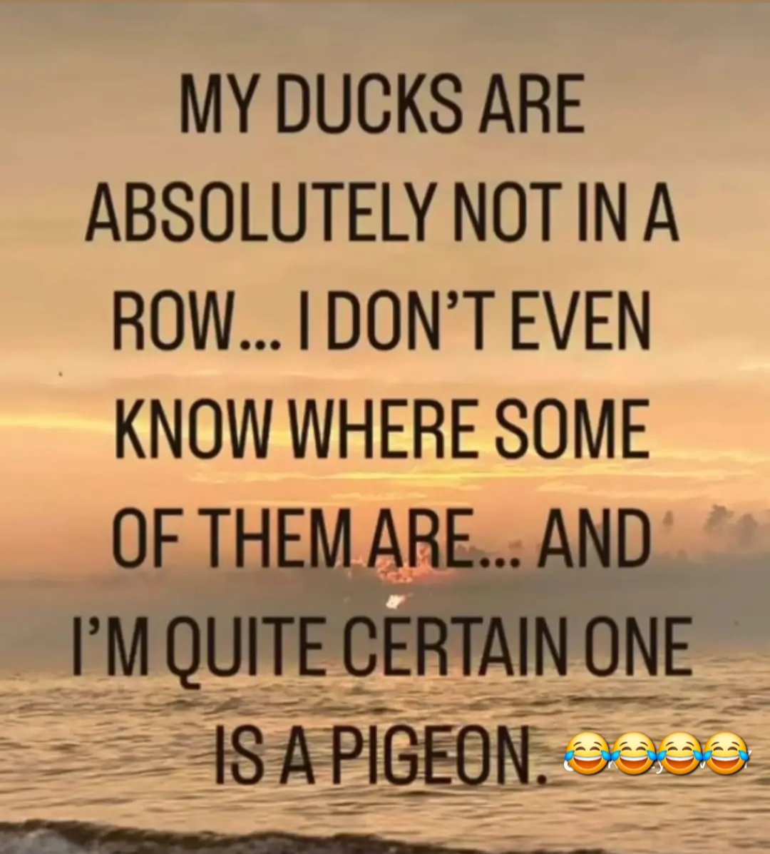 🚛 trucker G 🚛 (@rose5661) on Twitter photo 