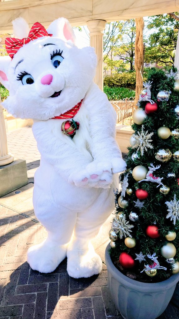 クリスマス期間だけの特別なおリボン🎀今年も会えますように🎄