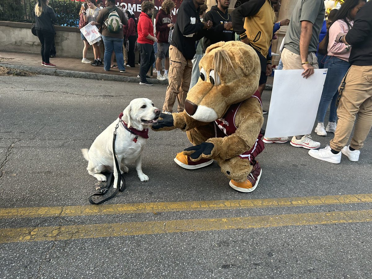 clairecweber's tweet photo. These may be the best photos I’ve ever taken! 

College of Charleston’s homecoming parade and carnival are kicking off downtown 🎉 @ABCNews4 https://t.co/F8sKAiWTsi