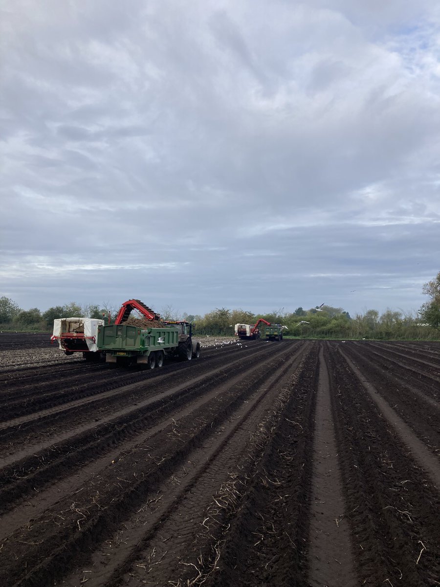 Jack Smith tweet media