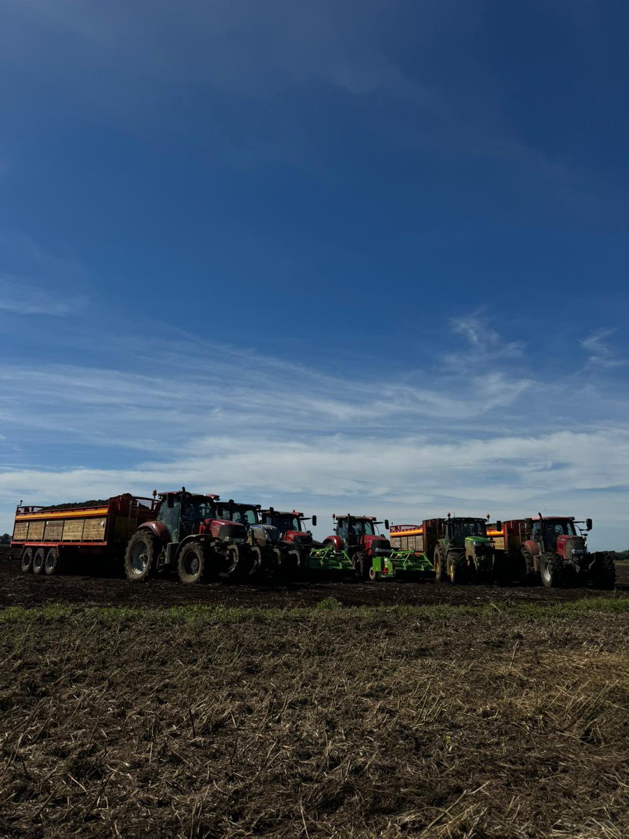 Jack Smith tweet media