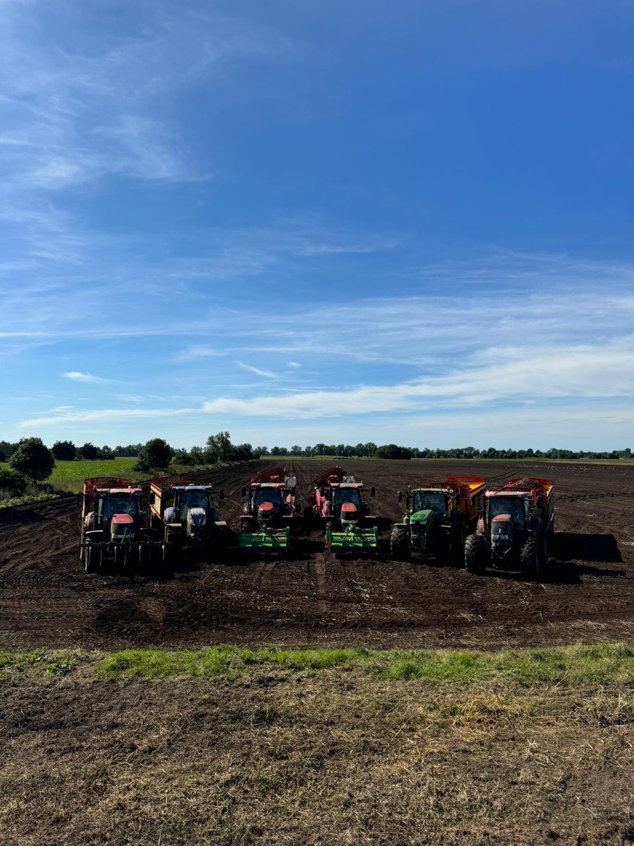 Jack Smith tweet media