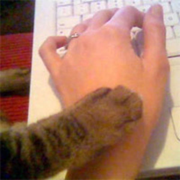 Mondo Stoned 🔻 tweet media