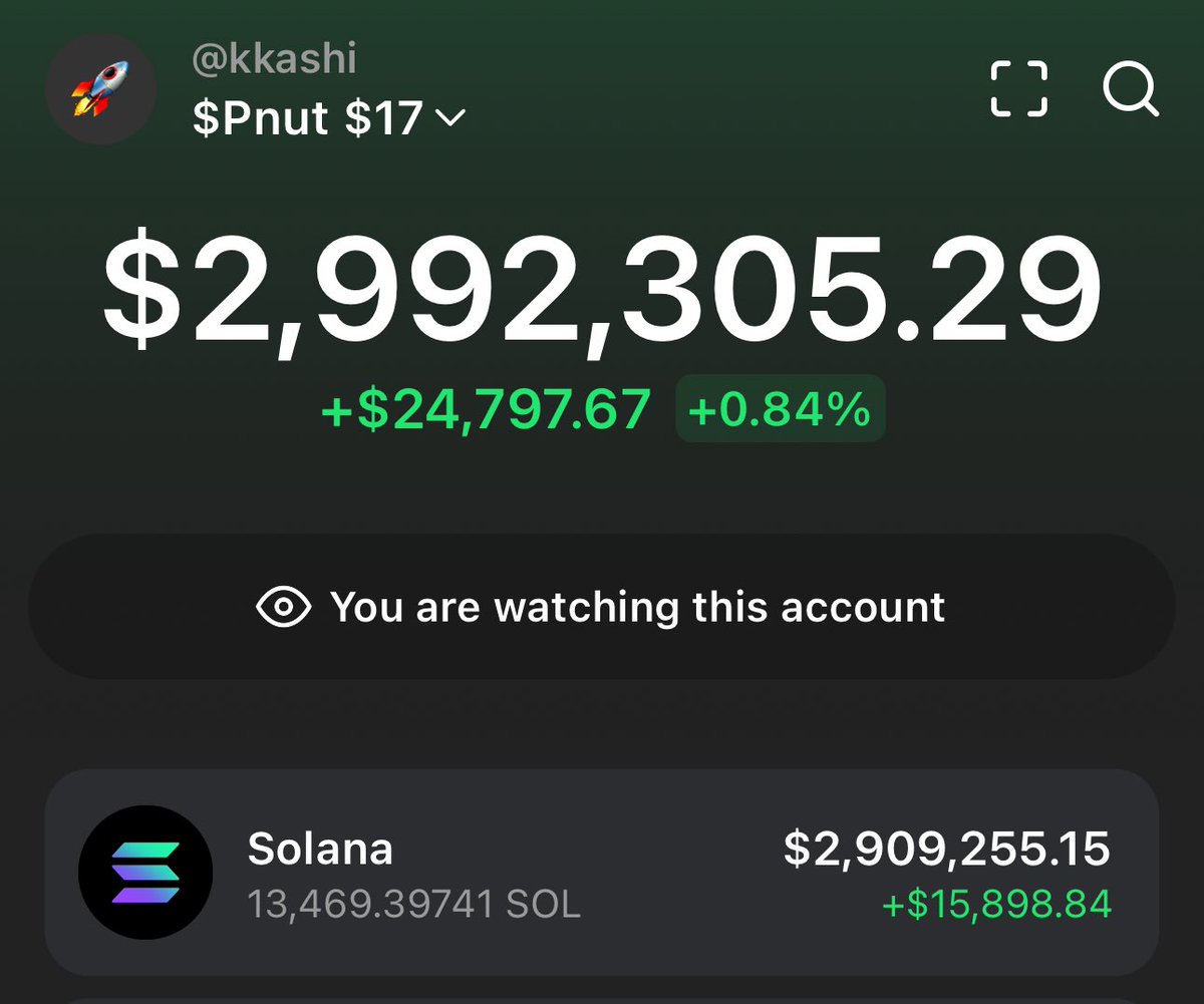 The guy that bought $17 $Pnut now sold all of his bag for $3M

🤖 t.me/solbixsignal