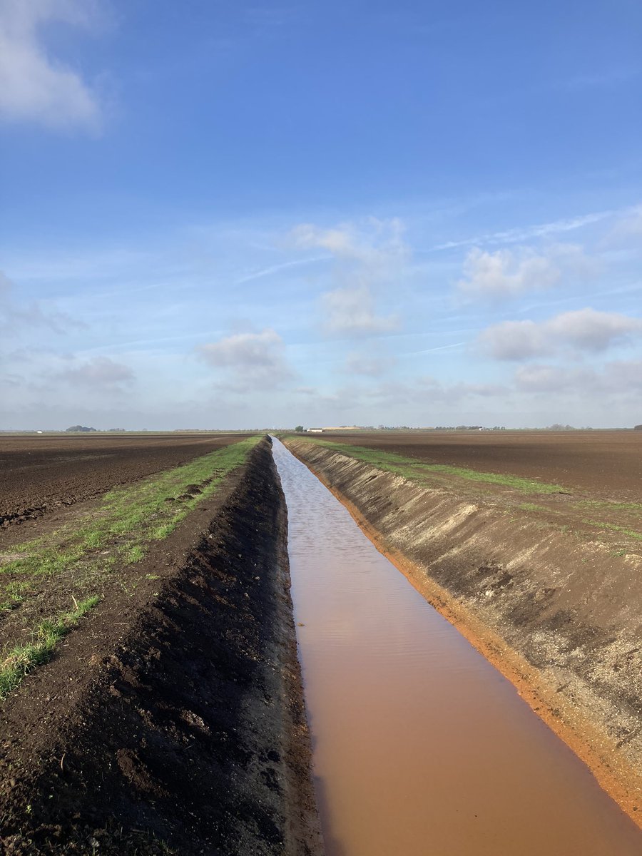 Jack Smith tweet media