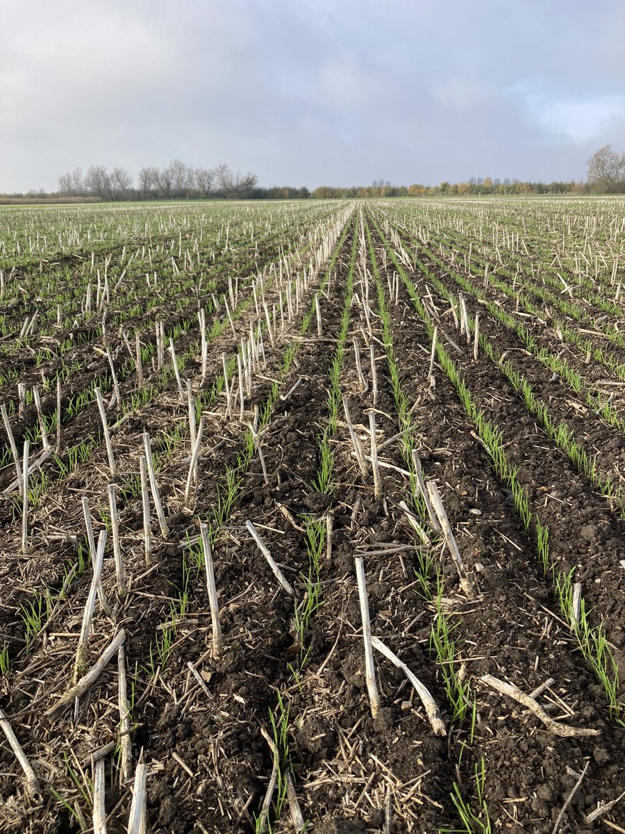 Jack Smith tweet media