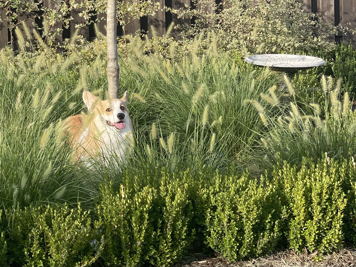 Theodore Wilder tweet media