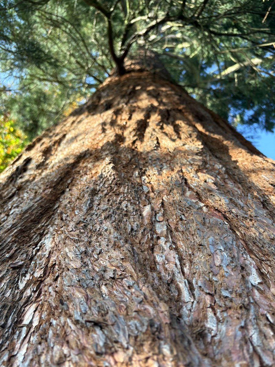 AlyMcKechnie's tweet photo. Just returning from Clore Social Leadership residential a powerful reminder of strength in connections, courage to show up, a grand setting with like-minded #changemakers reignites my drive to collaborate & foster growth. #GenerousCollaboration https://t.co/jyY1caErhJ