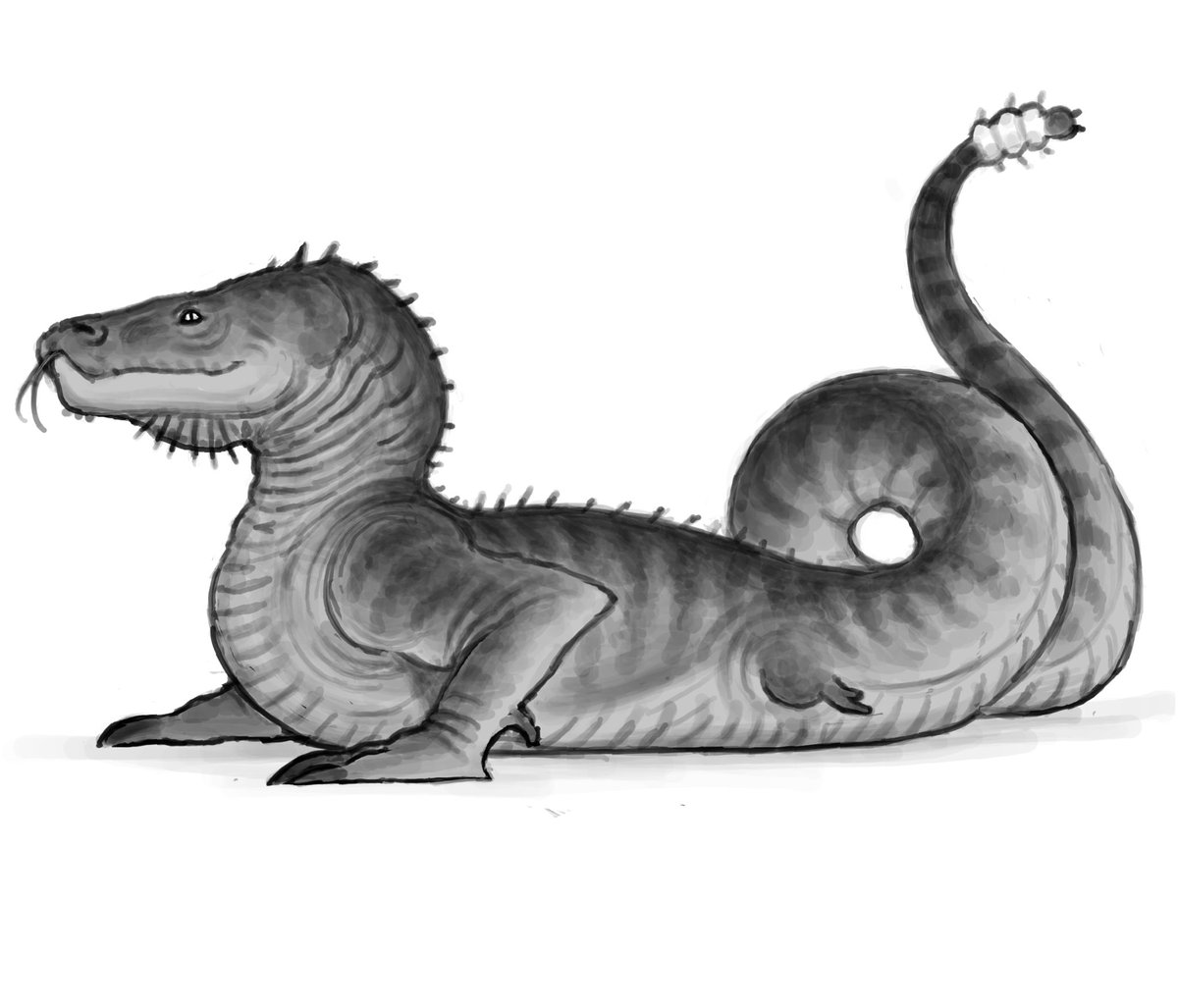 Striped grub-tail wurm