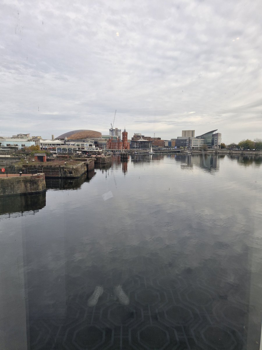 Cat Rin 💙 tweet media