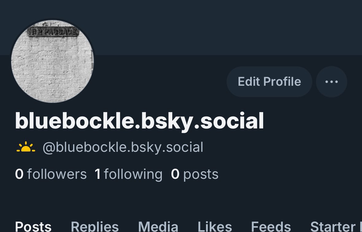 Bertie Cash tweet media