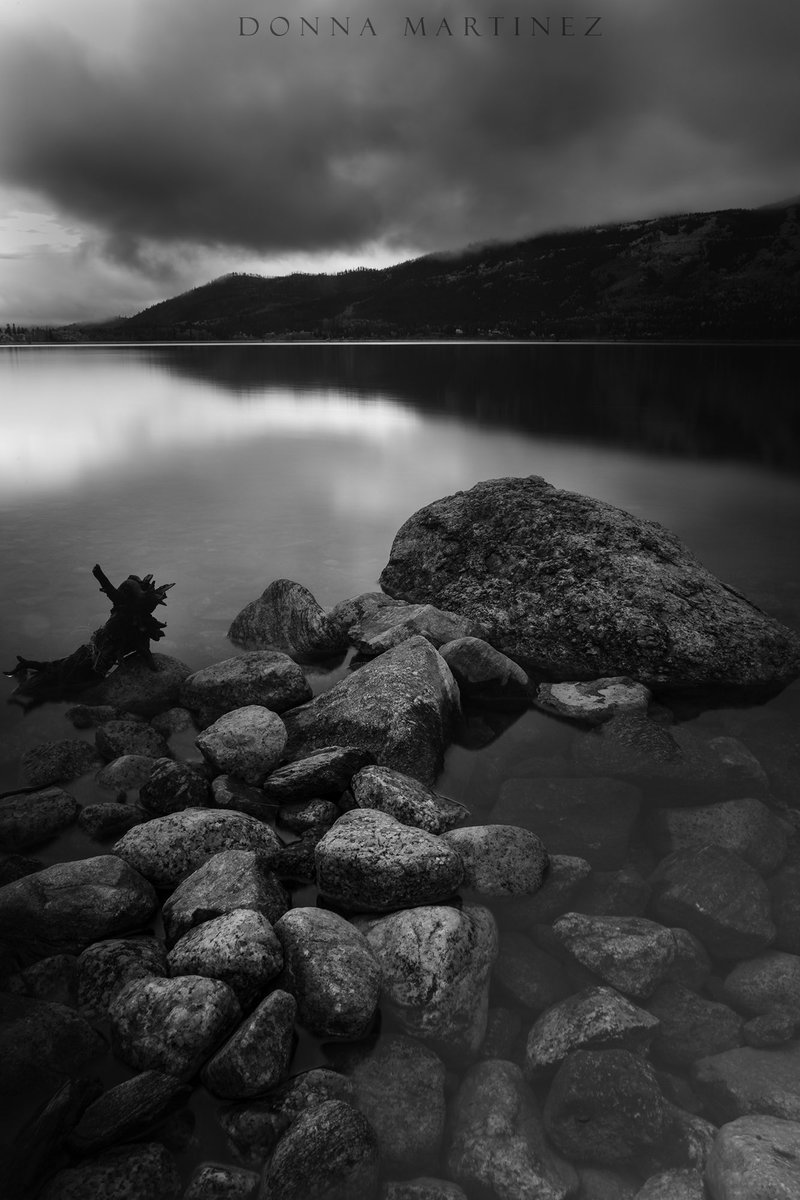 Finding Donna 🖤🤍📷 tweet media