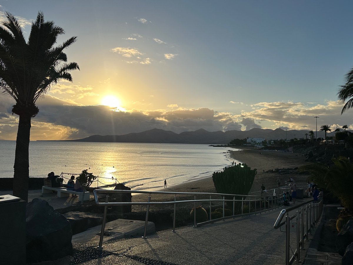 Tom Zimbardo tweet media