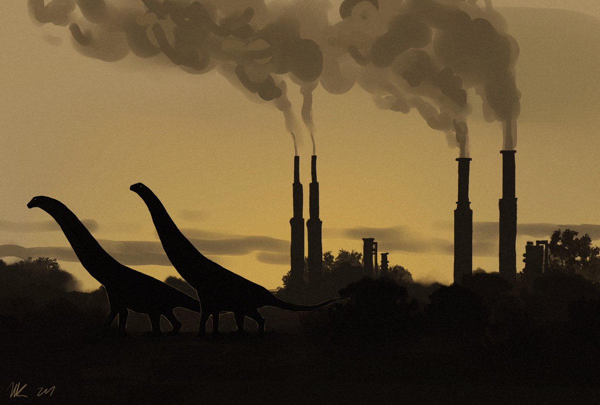 Niki Joy tweet media