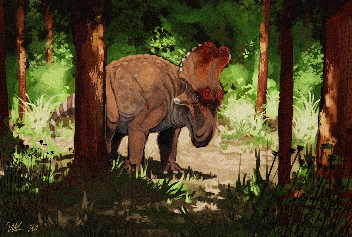 Niki Joy tweet media