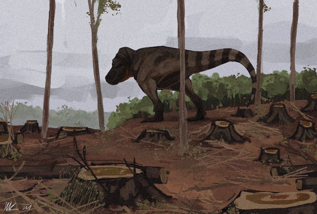 Niki Joy tweet media