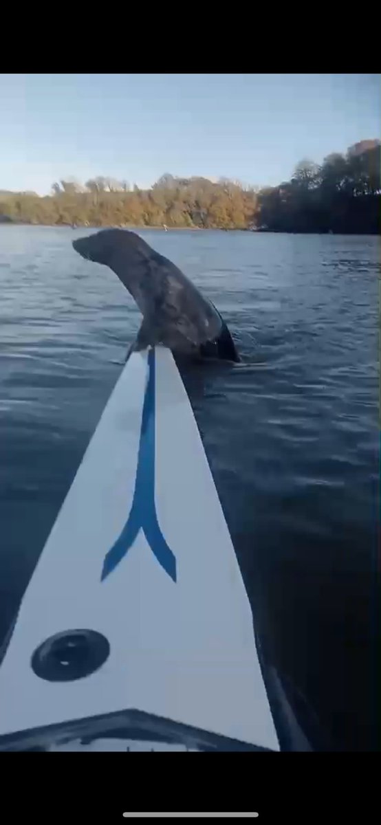 Amy Robin tweet media